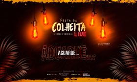 Live da Colheita 2020